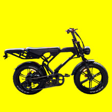Load image into Gallery viewer, Bikerev Smooth Rider 2 48V 1000Watts Dual Person Electric Bike