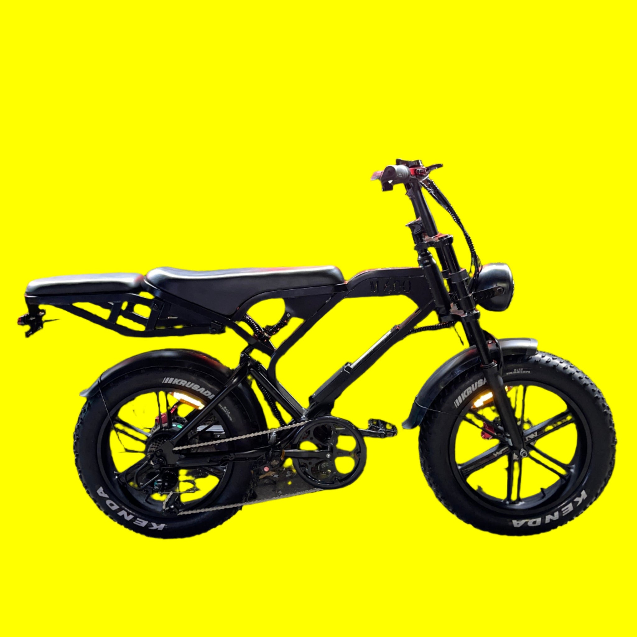 Bikerev Smooth Rider 48V 1000Watts Dual Person Electric Bike